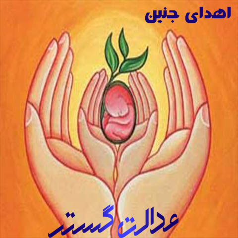 اهدای جنین - وکیل مشهد - بهترین وکیل مشهد