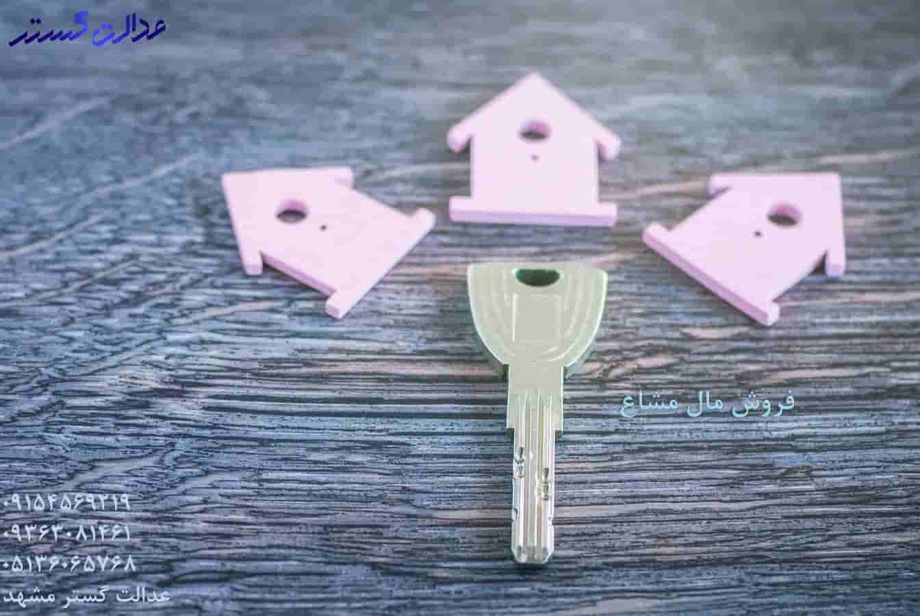 فروش مال مشاع - وکیل کیفری مشهد